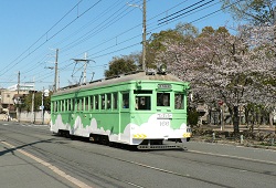 sakai01