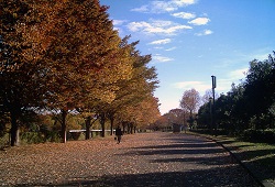 tokorozawa01